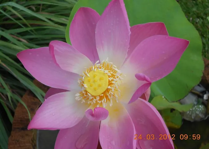 Jasmine Holiday park 2*