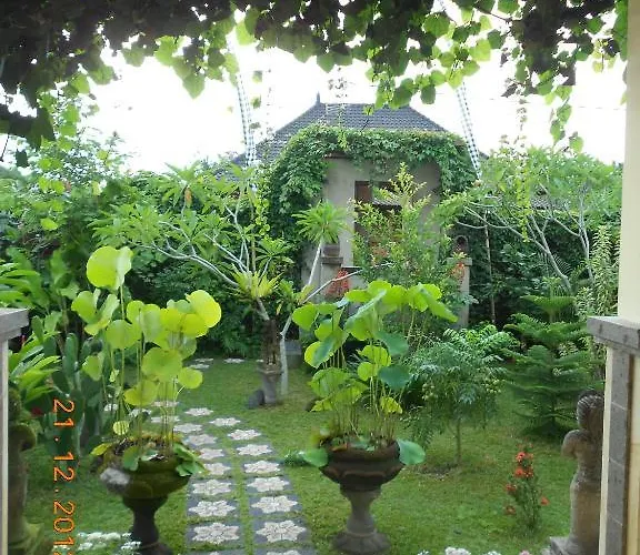 Jasmine Ubud